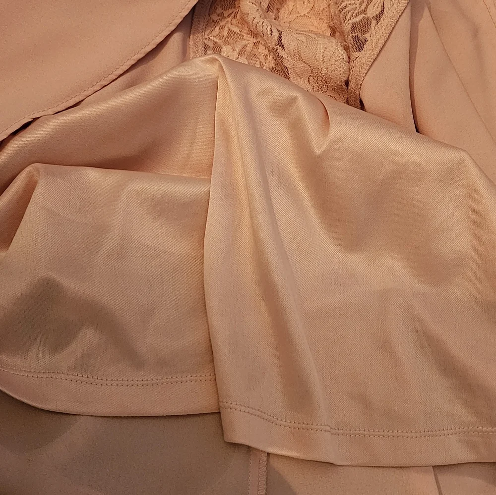 Altered States Dress Lace Panel with Scalloped Ruffle Trapeze Style Pink Size M - Picture 14 of 14